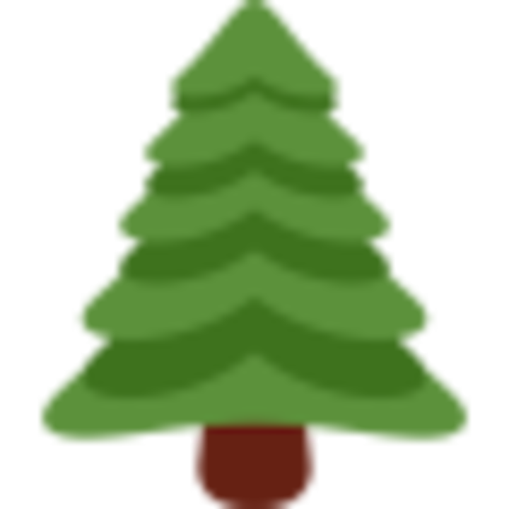Syracuse City Tree Service